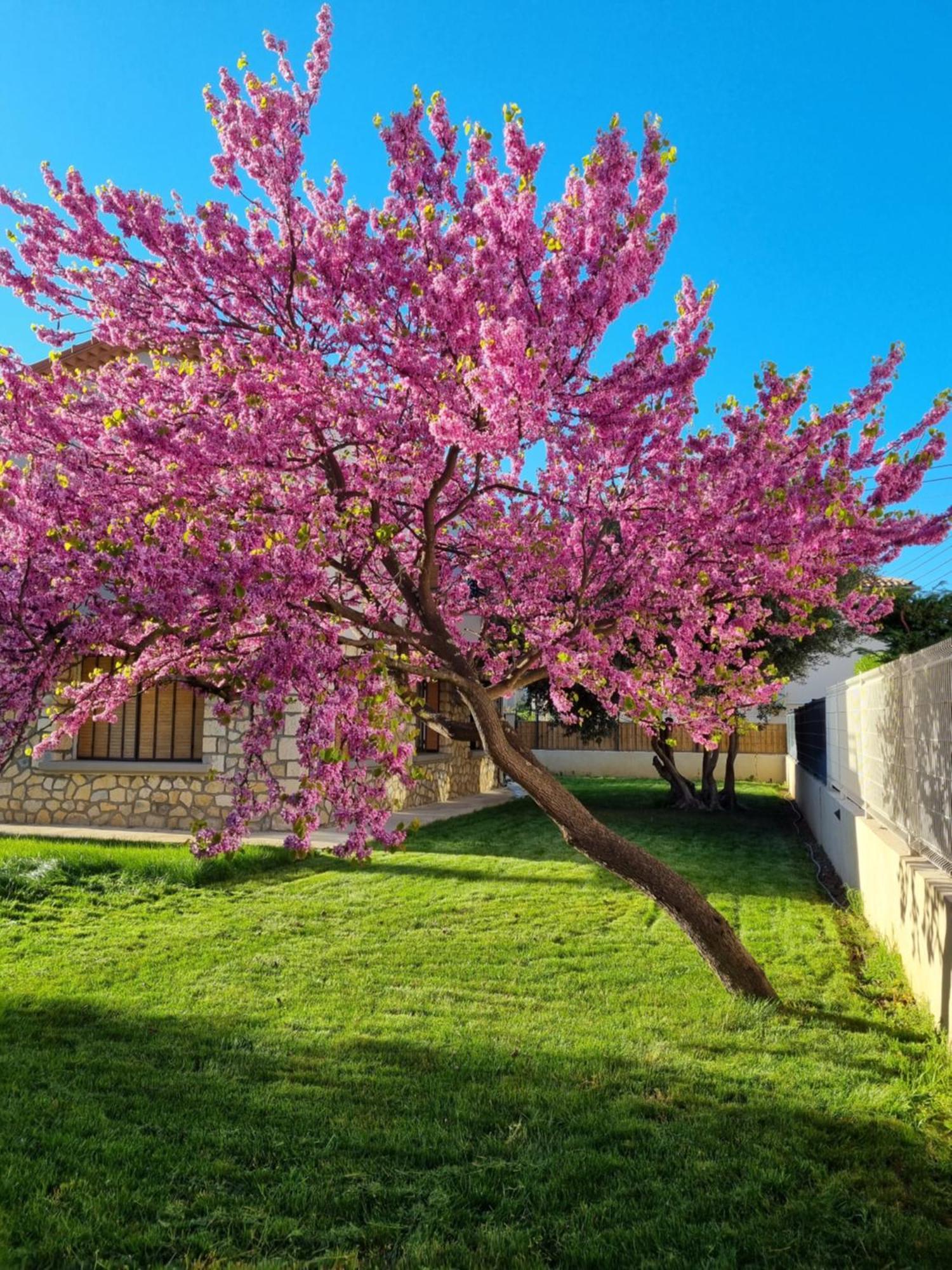 Quiet In A Setting * Nimes